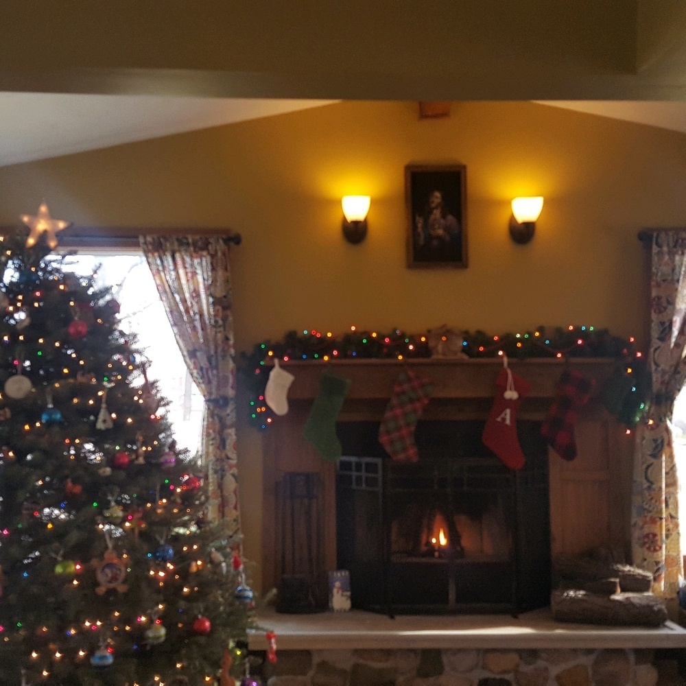 Meet your Posher, Alysia